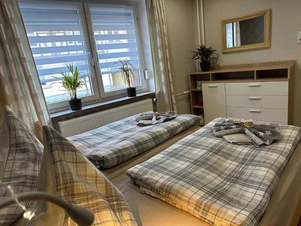 Christels Ferienwohnung 2 In Thale Mit Ueberdachter Terrasse, Kueche Mit Tv & Geschirrspueler Exterior photo